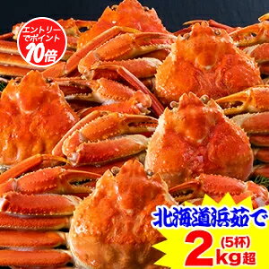 y|CgK10{IzkCʕl䥂ł킢Ɏp5t(2kg)m ۂ {Cς 䥂 {C킢 {CYC {C킢I 킢I YCKj YC  ny11/30 00:00-23:59