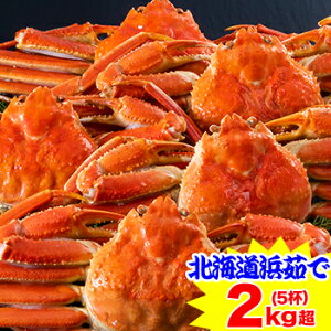 kCʕl䥂ł킢Ɏp5t(2kg)m ۂ {Cς 䥂 {C킢 {CYC {C킢I 킢I YCKj YC  n