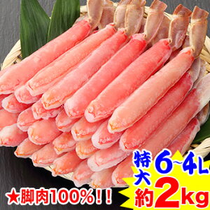 r100%yɂԗpz6L`4L킢rނg30`40{i1kgj×2[ YCKj 킢 |[V kނ r̂ 킢I YC 킢In