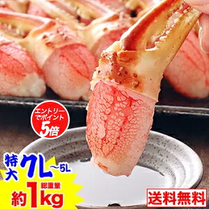 y|CgK5{IzyhgOKz7L`5L킢܂ނg23`30{idʖ1kgjm Hp YCKj 킢 YCI 킢I kނ ܂̂ hg@ɂԁny10/24 20: