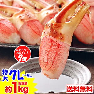 y|CgK7{IzyhgOKz7L`5L킢܂ނg23`30{idʖ1kgjm Hp YCKj 킢 YCI 킢I kނ ܂̂ hg@ɂԁny11/14 20: