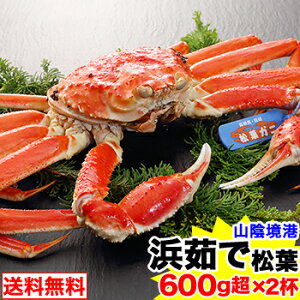 y`I^TCYzl䥂ŏtKj600g(uh^Ot)×2t [t Ɏp Ε]