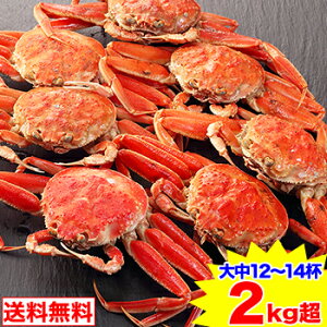 y`IzⓀl䥂ŃZRKj@咆12`14ti2kgjtKjX [t Ɏp Ε]
