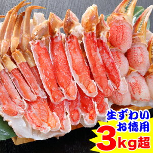 yhgz킢pZbg3kgm g 킢 YC 킢I YCI 킢I YCI n