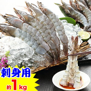 yhgpzNxɐі1kg(5×6P)