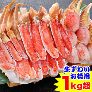 yhgz킢pZbg1kgm g 킢 YC 킢I YCI 킢I YCI n