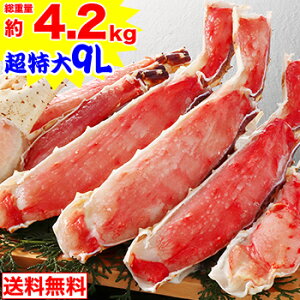 ԌN[|27,900~v~A9LΔނgZbg3.6kgidʖ4.2kgj