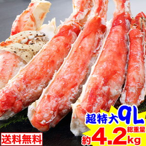 ԌN[|27,900~v~A9L{CΔނgZbg3.6kgidʖ4.2kgj