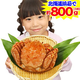 特大 北海道浜茹で毛がに姿1杯(約800g)