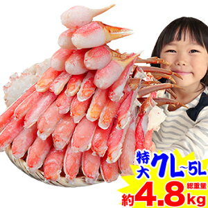 7L`5L킢ނg 4kgdʖ4.8kgyzm g 킢I YCI Εn