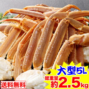 v~A5L킢Ɍr5(dʖ2.5kg)yzm YCKj 킢 킢I r̂ 킢I YCI YCKj  n