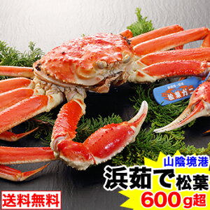 y`I^TCYzl䥂ŏtKj 1t600g(uh^Ot) [t Ɏp Ε]