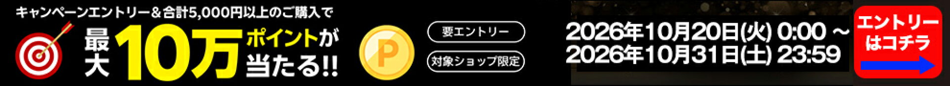 投票する