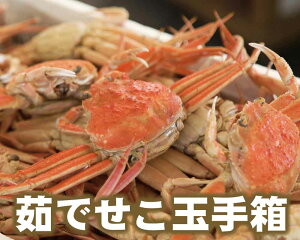 󂠂 䥂ŃZRKj 10C(1.2kg) iⓀj BKj Ⓚ ZRKj  ZCRKj  RbyKj ؂ Kj  tKj t tKj  X A