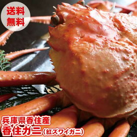 紅ズワイガニ ベニズワイガニ 香住ガニ 香住がに カニ かに 紅蟹 送料無料 ボイル 蟹 約800g前後×1匹 兵庫県 香住 お取り寄せ ギフト 贈答 内祝 お祝い 御礼 誕生日 プレゼント 贈り物