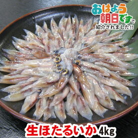 【兵庫県産ホタルイカお取り寄せ】小粒で食感が良い！ホタルイカのおすすめは？