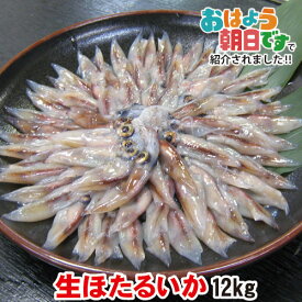 楽天市場 ホタルイカ 生食の通販