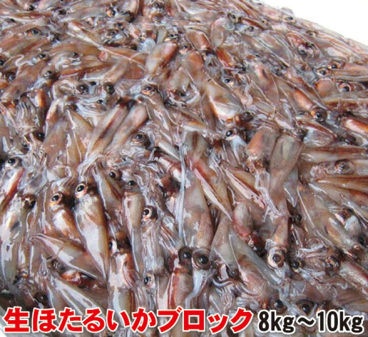 楽天市場 ホタルイカ ほたるいか ブロック 8 10kg 業務用 塊 かたまり 業務用 船内冷凍 送料無料 兵庫県産 生冷凍 ほたる いか イカ 刺身 刺し身 生食 釣り えさ 餌 釣り餌 釣りエサ 船釣り 磯釣り 防波堤釣り にしとも かに市場