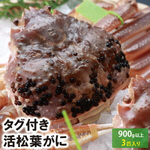 y25-206ztɁij@900gȏi3Cj@(Ⓚ͗①)@ytɁzytKjz