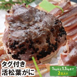 y25-105ztɁij@1kgȏ1.1kgi2Cj@(Ⓚ͗①)@ytɁzytKjz