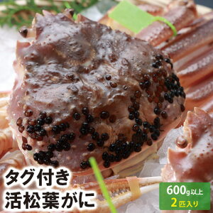 y25-109ztɁij@600gȏi2Cj@(Ⓚ͗①)@ytɁzytKjzy܂΂ɁzyZz