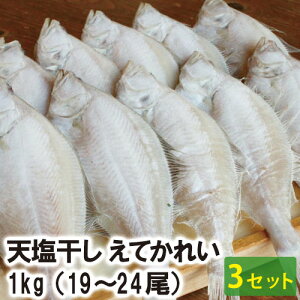 y25-251zVĂꂢ 1kg i9`12ji3ZbgjiⓀj