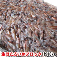 ＼楽天ランキング1位獲得!!／ ホタルイカ ほたるいか ブロック 約10kg 業務用 塊 かたまり 船内冷凍 送料…