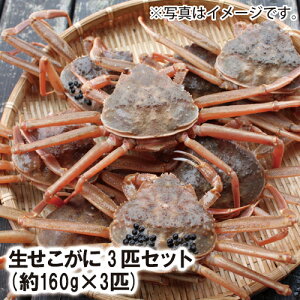 y25-011zZRɁ@3C@(160g×3C)@(Ⓚ͗①)yZRKjzyɁzytKjzytɁzytKjz