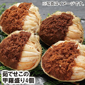 y25-024z䥂ł̍b 4@(Ⓚ)yZRKjzyɁzytKjzytɁzytKjz