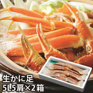 y25-031zɑ 5L5i2Zbgj Jj YCKj   I Mtg 񂹃O