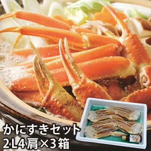 y25-242zɂZbg2L4_Vt i3ZbgjJj YCKj   I Mtg 񂹃O