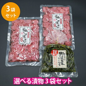 ご飯のお供 おにぎり お弁当 漬物 梅 しそ たくあん たくあん漬 大根 野沢菜 選べる漬物×3袋 ポイント消化 ■選べる漬物*3★