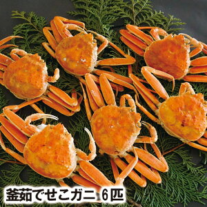 y25-021z䥂ŃZRɁ@6CZbg(1C140g)@(Ⓚ)yZRKjzyɁzytKjzytɁzytKjz