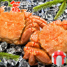 北海道産 ボイル 毛がに 440〜500g前後 2尾 かに カニ 蟹 毛ガニ 毛蟹 蟹味噌 グルメ ギフト 御祝 御礼 内祝 誕生日祝 残暑見舞 お中元 父の日 母の日