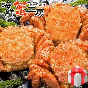 kCY {C т 440`500gO 3  Jj I уKj ъI IX O Mtg j  j aj Ε N NNn