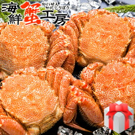 北海道産 ボイル 毛がに 440〜500g前後 4尾 かに カニ 蟹 毛ガニ 毛蟹 蟹味噌 グルメ ギフト 御祝 御礼 内祝 誕生日祝 残暑見舞 お中元 父の日 母の日
