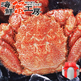 北海道産 ボイル 毛がに 440〜500g前後 1尾 かに カニ 蟹 毛ガニ 毛蟹 蟹味噌 グルメ ギフト 御祝 御礼 内祝 誕生日祝 残暑見舞 お中元 父の日 母の日