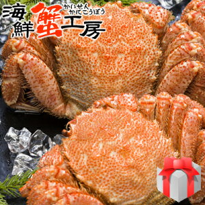 {CуKj kC Iz[cNCY 800gO 2 Ⓚ т ъI Jj  I aj j  j Mtg  Ε N NNn