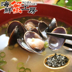 しじみ 冷凍 北海道 網走産 シジミ 1kg ギフト 味噌汁 冷凍しじみ 蜆 しじみ汁 酒蒸し ごはん 土用しじみ 同梱おすすめ お取り寄せ グルメ 北海道 御祝 内祝 誕生日祝 網走湖