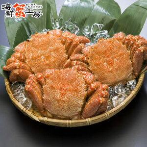 _Gg[Ń|Cg10{yVX[p[SALE^󂠂 mY {C т 300gO 3  Jj I уKj ъI IX p