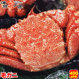 北海道 オホーツク海産 ボイル 毛がに 400g前後 1尾 かに カニ 蟹 毛ガニ 毛蟹 蟹味噌 グルメ ギフト 御祝 御礼 内祝 誕生日祝 お歳暮 お年賀 年末年始