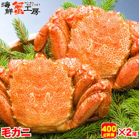 北海道産 ボイル 毛がに 400g前後 2尾 かに カニ 蟹 毛ガニ 毛蟹 蟹味噌 グルメ ギフト 御祝 御礼 内祝 誕生日祝 残暑見舞 お中元 父の日 母の日