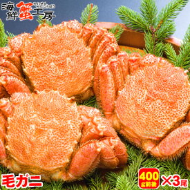 北海道産 ボイル 毛がに 400g前後 3尾 かに カニ 蟹 毛ガニ 毛蟹 蟹味噌 グルメ ギフト 御祝 御礼 内祝 誕生日祝 残暑見舞 お中元 父の日 母の日