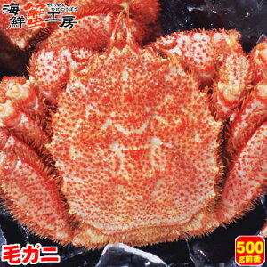 y撅IHڂՁIő1,000~OFFN[|zkC Iz[cNCY {C т 500gO 1  Jj I уKj ъI IX O Mtg j  j aj c 