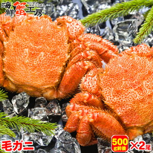 kC Iz[cNCY {C т 500gO 2  Jj I уKj ъI IX O Mtg j  j aj Ε N NNn