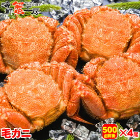 毛ガニ 北海道 オホーツク海産 毛がに 500g前後 4尾 ボイル冷凍 毛がに ギフト 送料無料 ボイル カニ 北海道 お取り寄せ グルメ あす楽 ご挨拶 バースデー お土産お返し ありがとう 御祝 誕生日祝