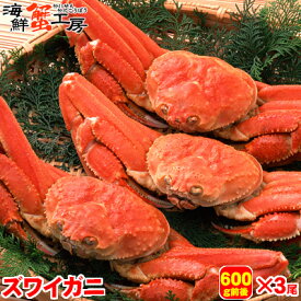 ボイル ズワイガニ 姿 600g前後 3尾 カニ 蟹　かに ずわいがに ずわい蟹 ズワイ蟹 北海道 グルメ ギフト 御祝 御礼 内祝 誕生日祝 お歳暮 お年賀 年末年始