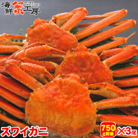 ボイル ズワイガニ 姿 750g前後 3尾 カニ 蟹　かに ずわいがに ずわい蟹 ズワイ蟹 北海道 グルメ ギフト 御祝 御礼 内祝 誕生日祝 お中元 残暑見舞 父の日 母の日