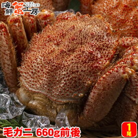 ボイル毛ガニ 北海道 オホーツク海産 660g前後 1尾 冷凍 毛がに 毛蟹 カニ かに 蟹 誕生日祝 内祝 御礼 御祝 ギフト お取り寄せ 残暑見舞 お中元 父の日 母の日