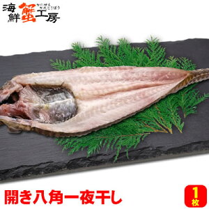 kCY Jp 銱 1  Ă ӎ  ͂ JnbJN kCH O aj  j j Mtg c  ̓